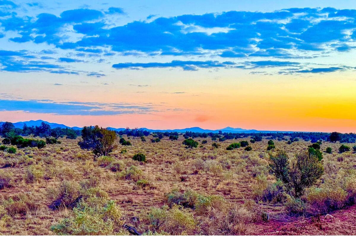 Tons of Trees - S GLEN SPRING LN WILLIAMS, AZ 86046